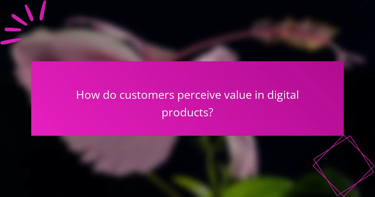 How do customers perceive value in digital products?