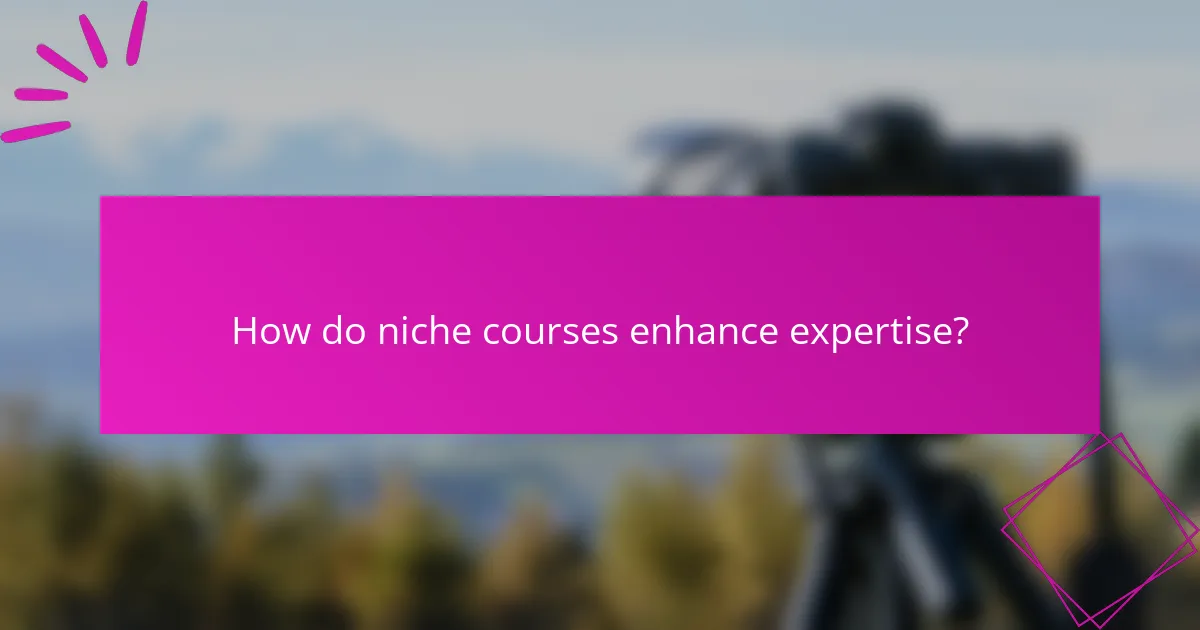 How do niche courses enhance expertise?